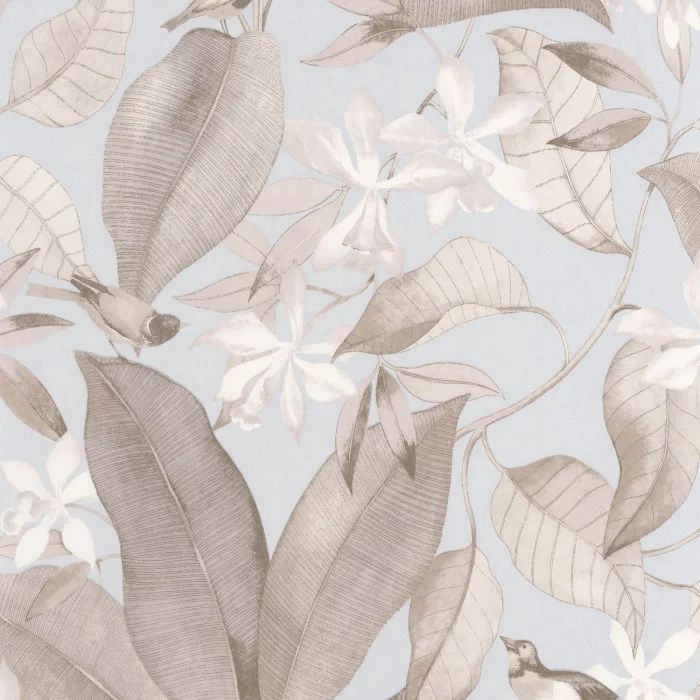 Delicacy Wallpaper Birdsong DELY85382261 DELY 8538 22 61 By Casadeco
