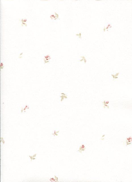 Abby Rose 3 Wallpaper AB27626 By Norwall For Galerie