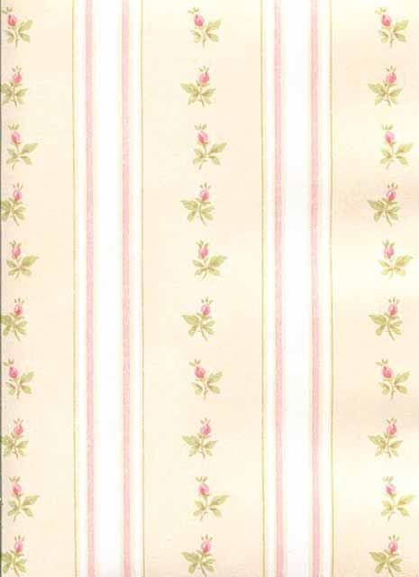 Abby Rose 3 Wallpaper AB27641 By Norwall For Galerie