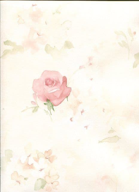 Abby Rose 3 Wallpaper AB27661 By Norwall For Galerie
