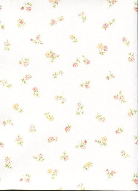 Abby Rose 3 Wallpaper AB31062 By Norwall For Galerie