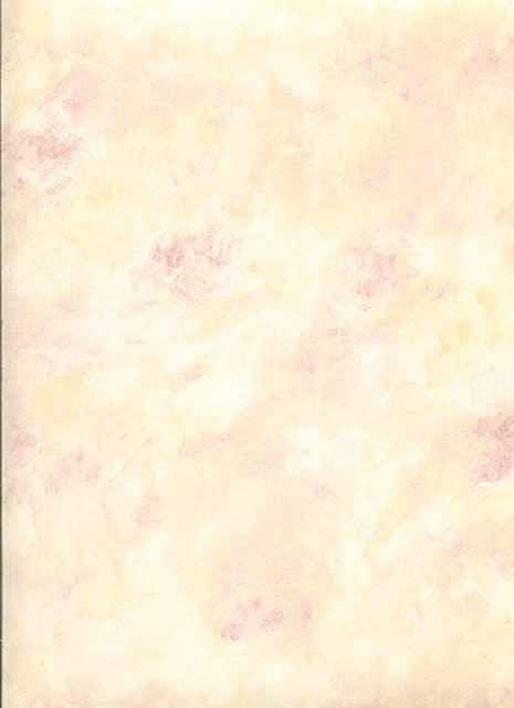 Abby Rose 3 Wallpaper AB42402 By Norwall For Galerie