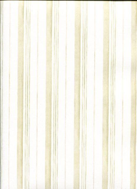 Abby Rose 3 Wallpaper AB42410 By Norwall For Galerie