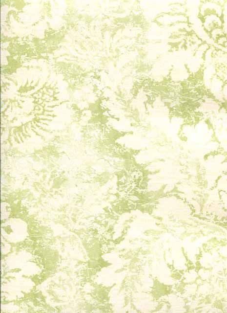 Abby Rose 3 Wallpaper AB42428 By Norwall For Galerie