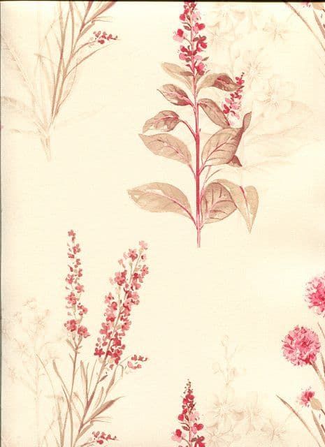 Abby Rose 3 Wallpaper AB42441 By Norwall For Galerie