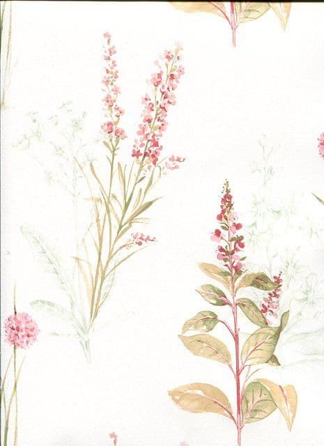 Abby Rose 3 Wallpaper AB42442 By Norwall For Galerie