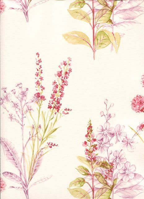 Abby Rose 3 Wallpaper AB42444 By Norwall For Galerie