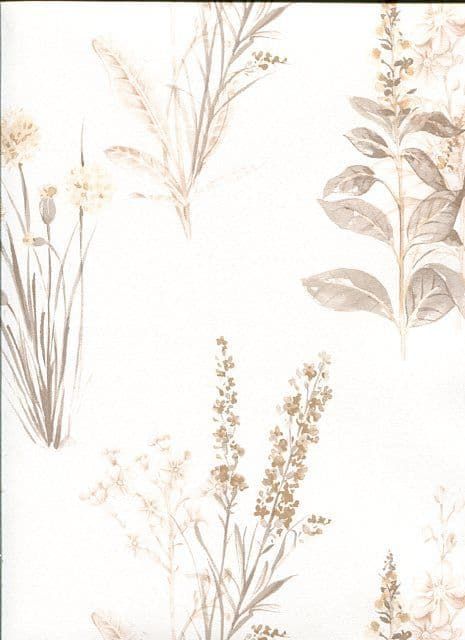 Abby Rose 3 Wallpaper AB42446 By Norwall For Galerie