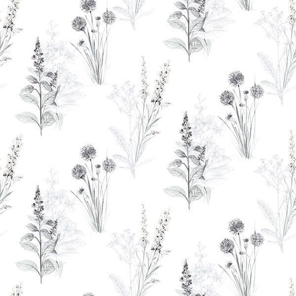 Abby Rose 4 Wallpaper AB42443 By Norwall For Galerie