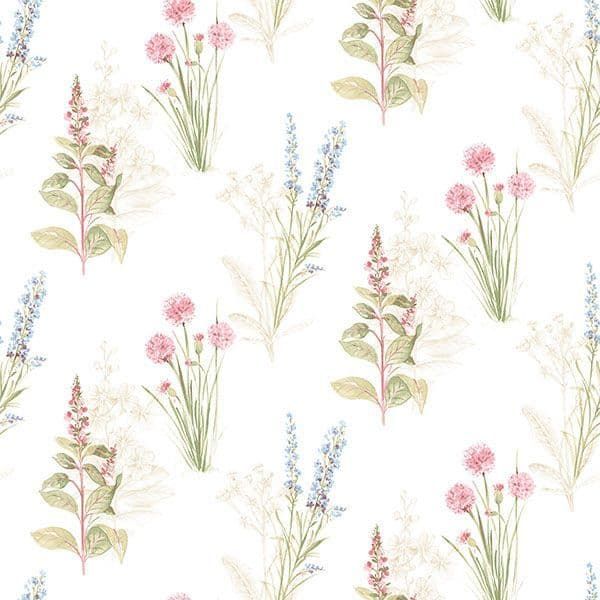 Abby Rose 4 Wallpaper AB42445 By Norwall For Galerie