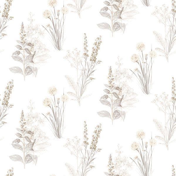 Abby Rose 4 Wallpaper AB42446 By Norwall For Galerie