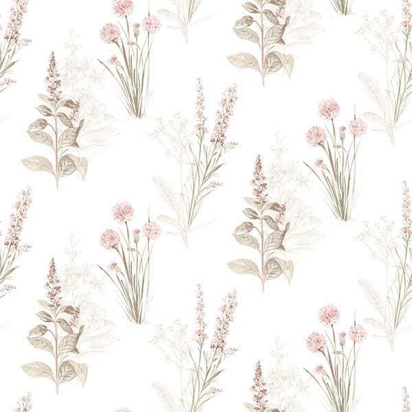 Abby Rose 4 Wallpaper AF37715 By Norwall For Galerie
