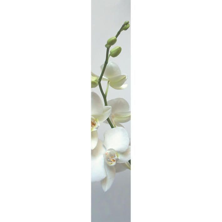 Accents Wall Panel Orchidee ACE 6707 00 02 ACE67070002 By Caselio