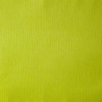 Accents Wallpaper Vegetal Plains ACE 6649 71 12 ACE66497112 By Caselio