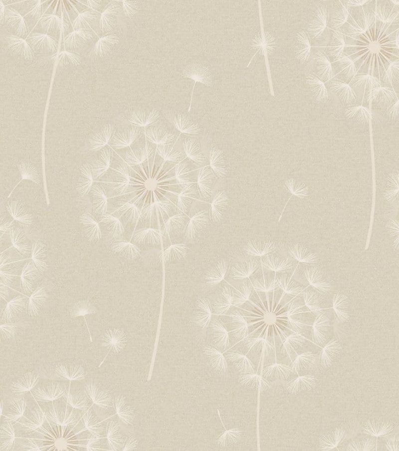 Alocasia Allora Cream Wallpaper 36002 By Holden Decor For Colemans