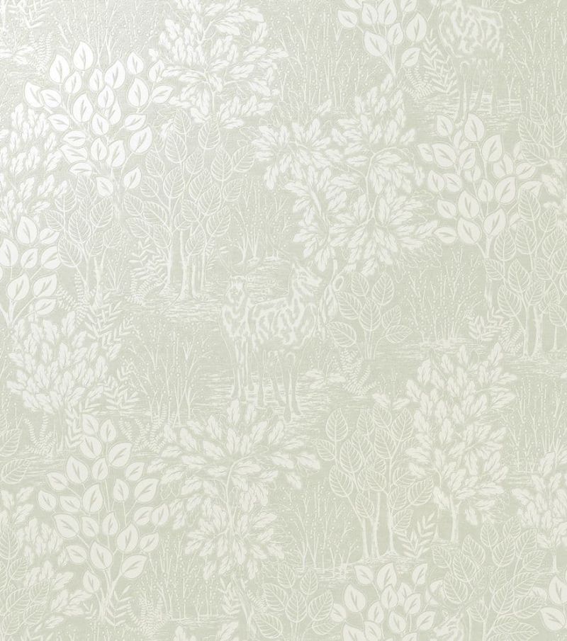 Alocasia Majella Green Wallpaper 36052 By Holden Decor For Colemans