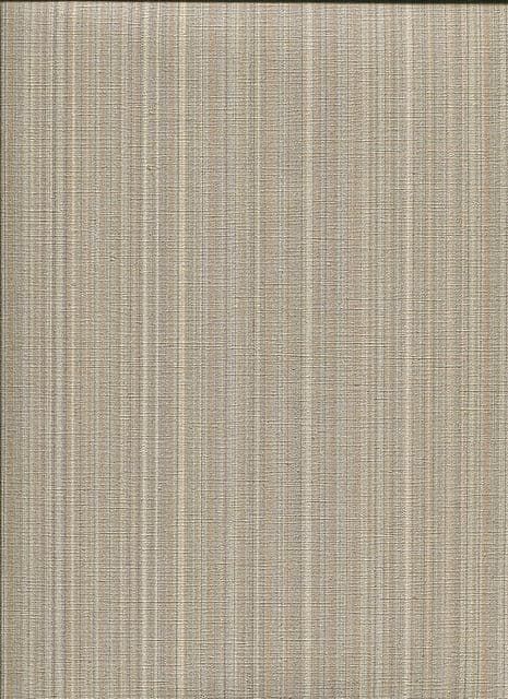 Alta Gamma AltaGamma Modern Living Home 2 Wallpaper 20855 By Sirpi For Colemans