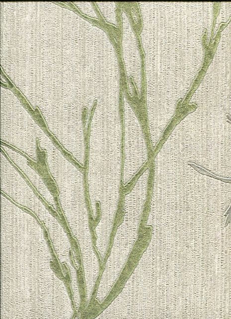 Alta Moda Wallpaper 7831 By Murella For Colemans