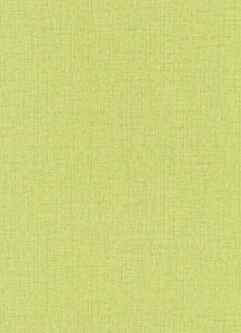 Amazonia Page 58 Wallpaper AM30026 By Galerie