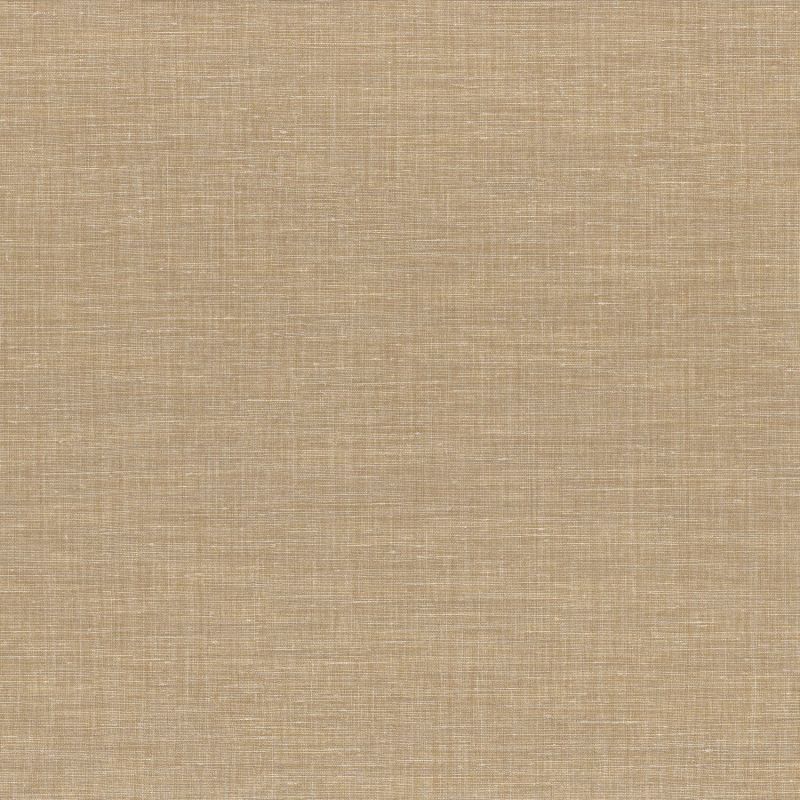 Apaches Shinok Plain Wallpaper 73810416 or 7381 04 16 By Casamance
