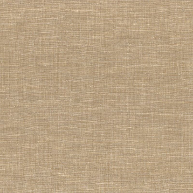 Apaches Shinok Plain Wallpaper 73810416 or 7381 04 16 By Casamance