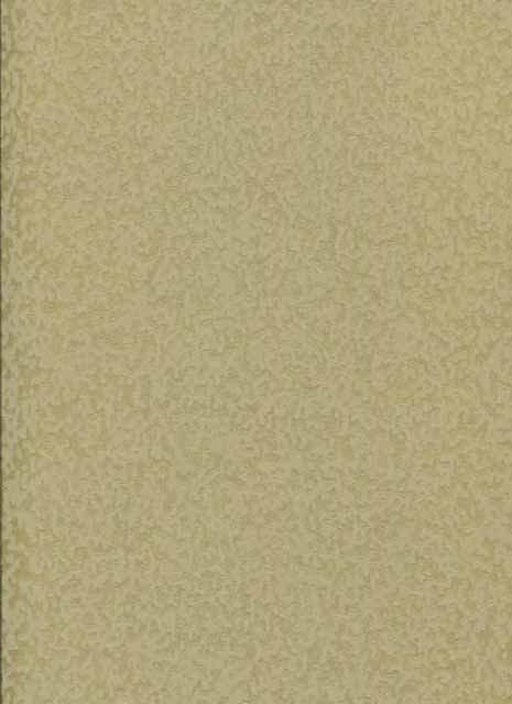 Aspect infinity Ochre Wallpaper 1947/006 By Prestigious Wallcoverings