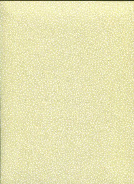 Bambino XVII Wallpaper 246131 By Rasch For Galerie