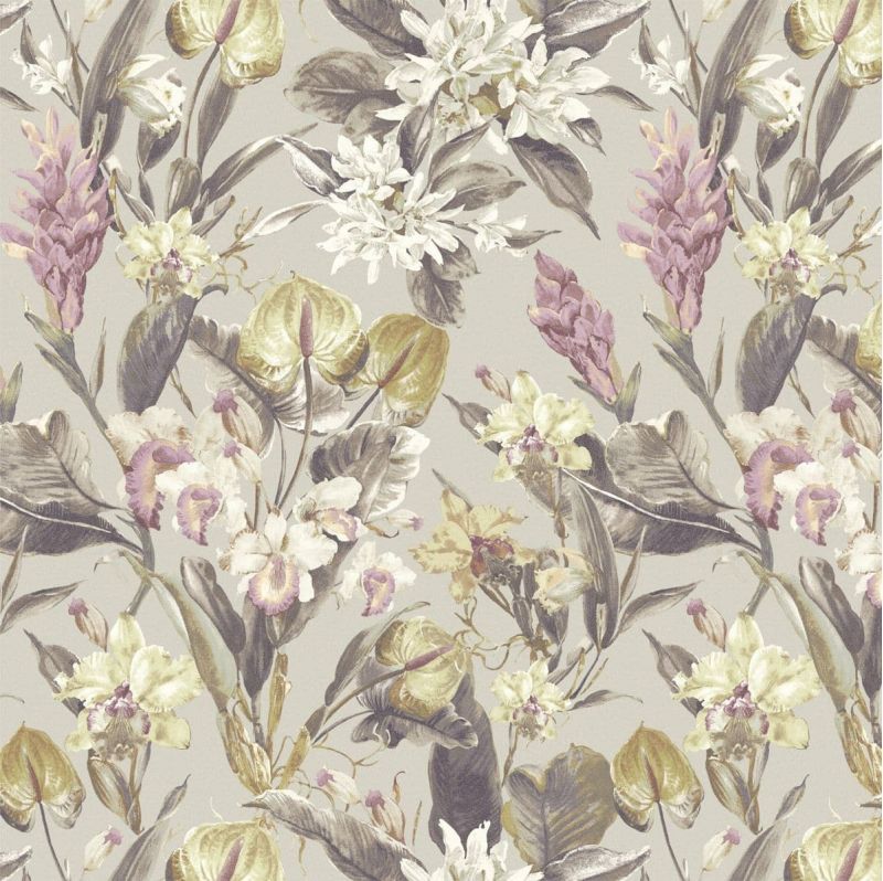 Bellagio Sketch Twenty 3 Wallpaper Florence Zinc Orchid BE01512 BEO1512 By Tim Wilman