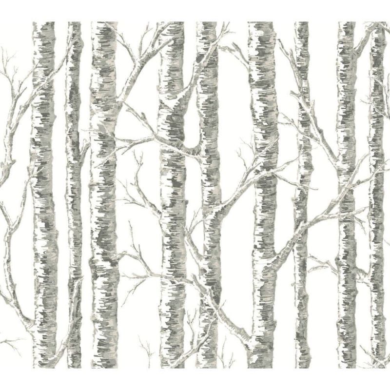 Black & White Wallpaper BW3901 Paper Birch By York Wallcoverings For Dixons