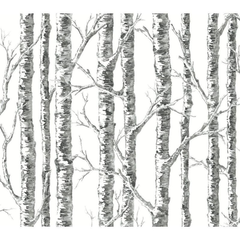 Black & White Wallpaper BW3902 Paper Birch By York Wallcoverings For Dixons