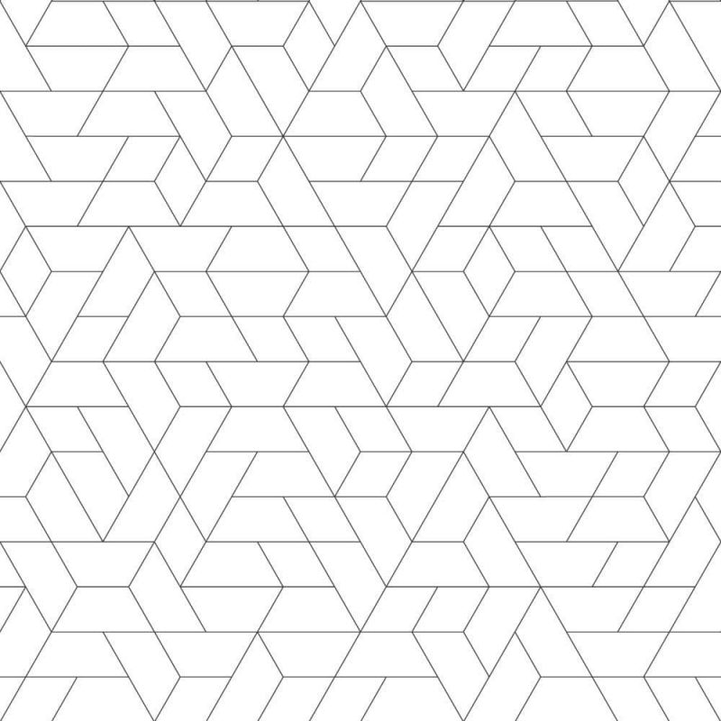 Black & White Wallpaper SW7457 Point Of View By York Wallcoverings For Dixons