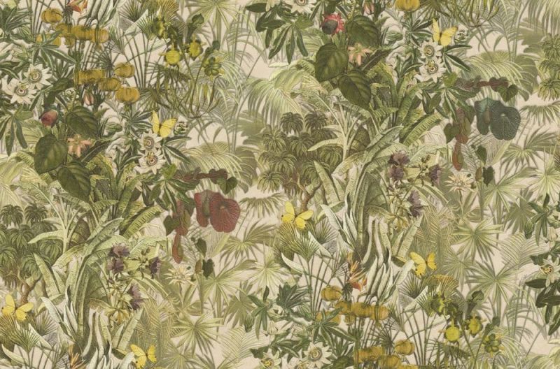 Blumarine Home No.5 Wallpaper BM29043 By Emiliana Parati For Colemans