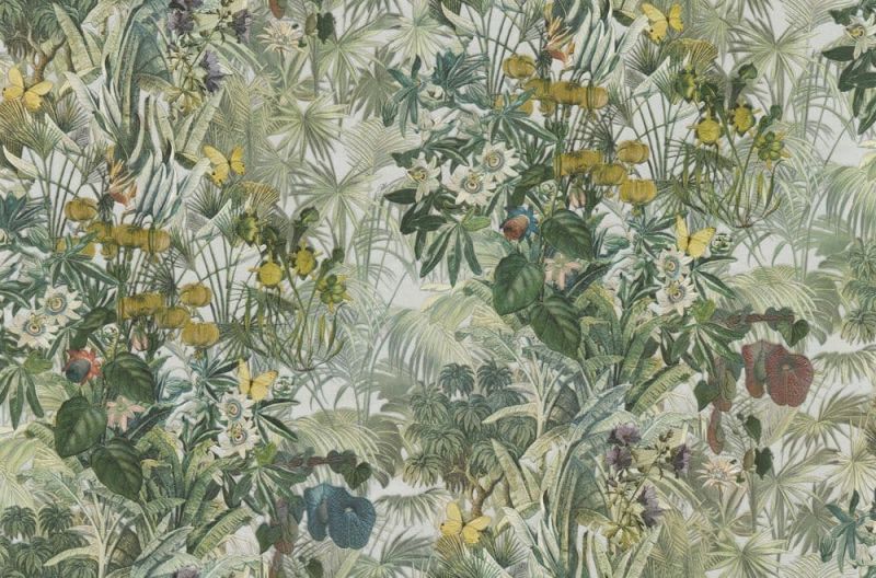 Blumarine Home No.5 Wallpaper BM29051 By Emiliana Parati For Colemans