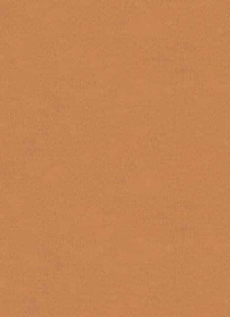 Brilliant Fazowski Wallpaper Simple Orange 1104 By Dixons Superior