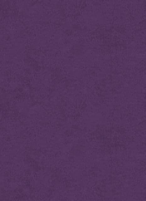 Brilliant Fazowski Wallpaper Simple Violet 1111 By Dixons Superior