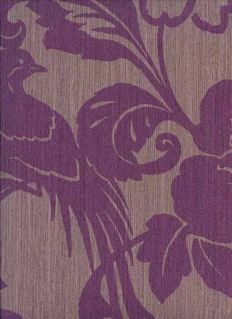 Cape Grim Bird Design Wallpaper 80 51 37 805137 By Casamance