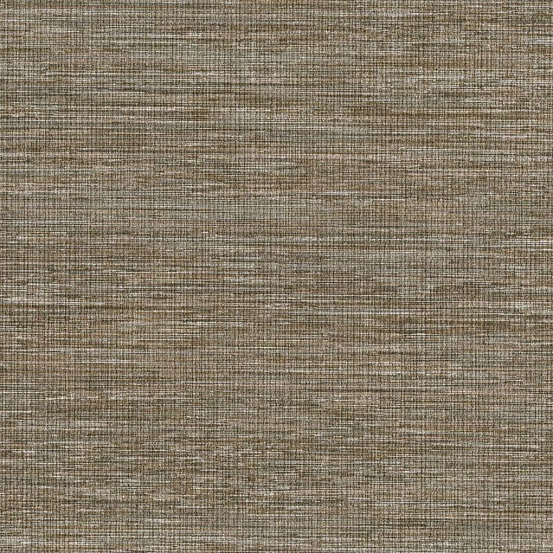 Chelsea Sketch Twenty 3 Wallpaper Gossamer Gold CH01312 CHO1312 By Tim Wilman