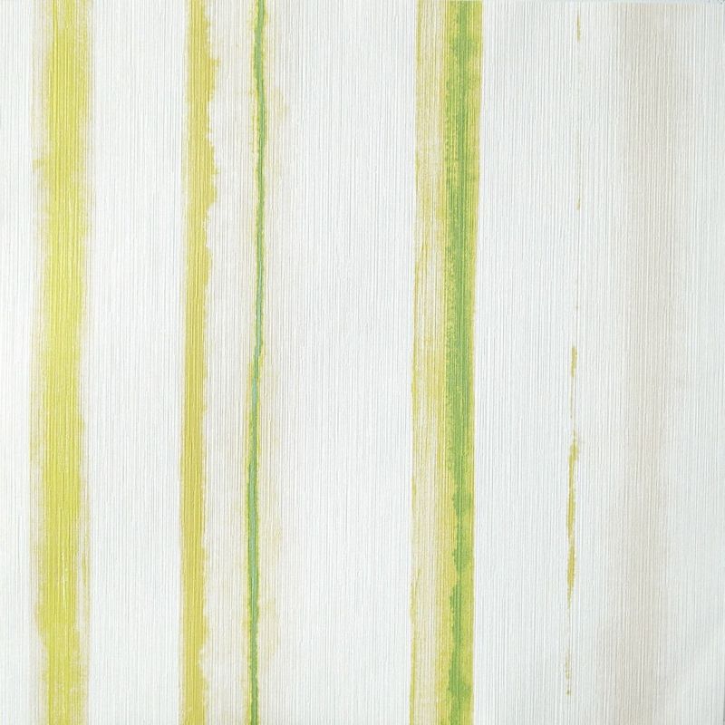 ColorBox Wallpaper Rayures Stripes Amazonia COBO 6647 70 04 COBO66477004 By Caselio