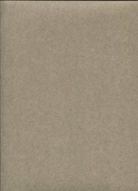 Dandy Wallpaper Gallant Plain 72340762 7234 07 62 By Casamance