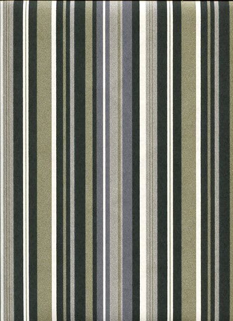 Decadence SketchTwenty3 Wallpaper Barcode Sage DC00184 By Tim Wilman