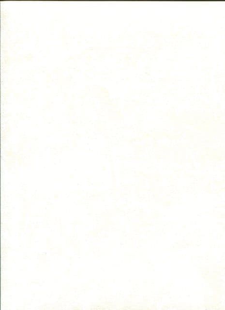 Domotex New Style 53504 By Marburg For Today Interiors