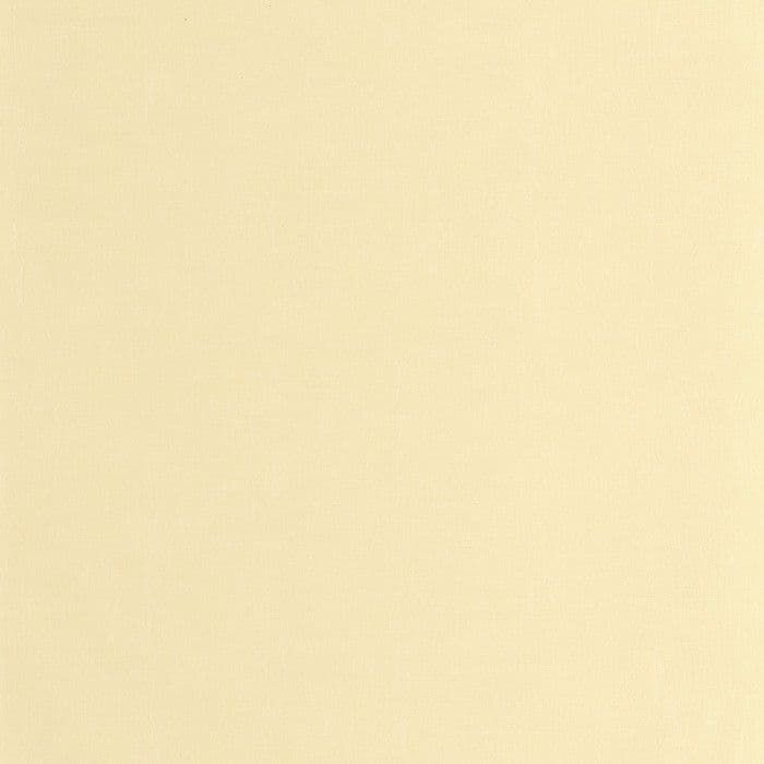 Etamine Wallpaper Jaune Limonade ETAM 20025 21 21 ETAM200252121 By Casadeco