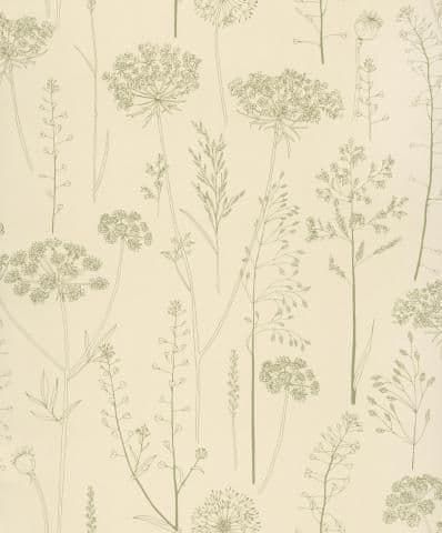 Evergreen Wallpaper Carex Olive EVE107 or EVE 107 By Zoom For Colemans