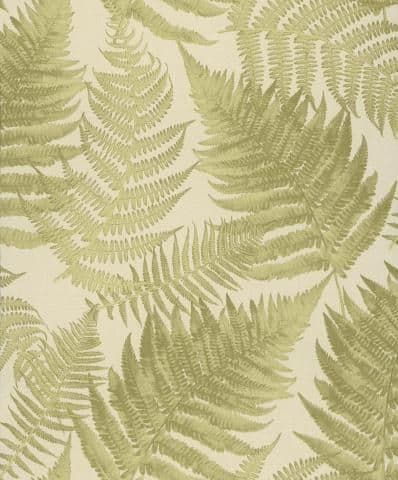 Evergreen Wallpaper Folia Olive EVE006 or EVE 006 By Zoom For Colemans