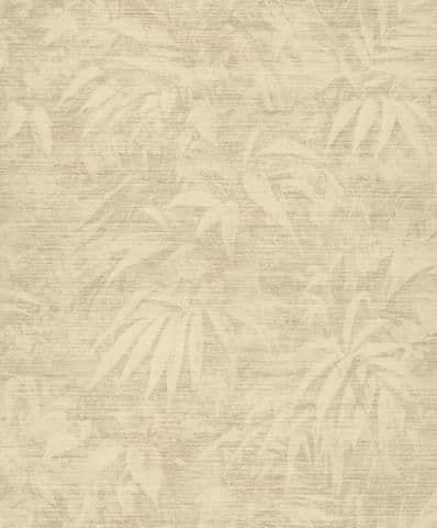 Evergreen Wallpaper Oleandra Cream EVE503 or EVE 503 By Zoom For Colemans