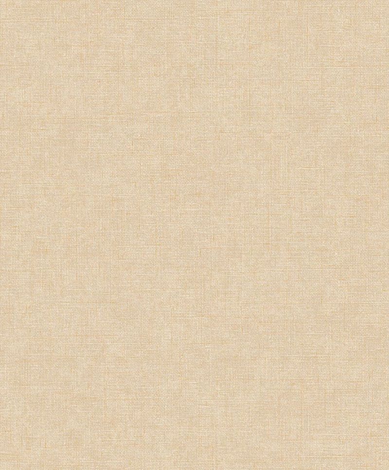 Fabric Touch Grass Weaving Wallpaper FT221263 By Design id For Colemans