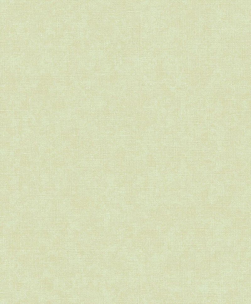 Fabric Touch Grass Weaving Wallpaper FT221268 By Design id For Colemans