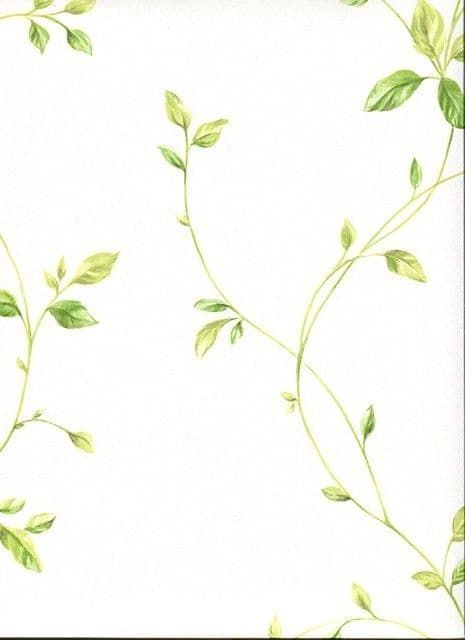 Fresh Kitchens 5 Wallpaper KC28550 By Norwall For Galerie