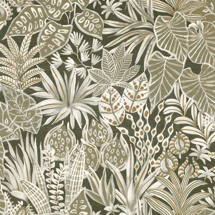 Golfe Du Bengale Wallpaper Madhuca Kaki 75950814 or 7595 08 14 By Casamance