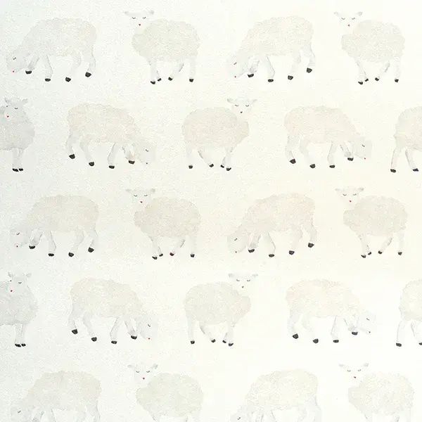 Great Kids Sweet Sheep White Wallpaper 26826 By Hohenberger For Galerie